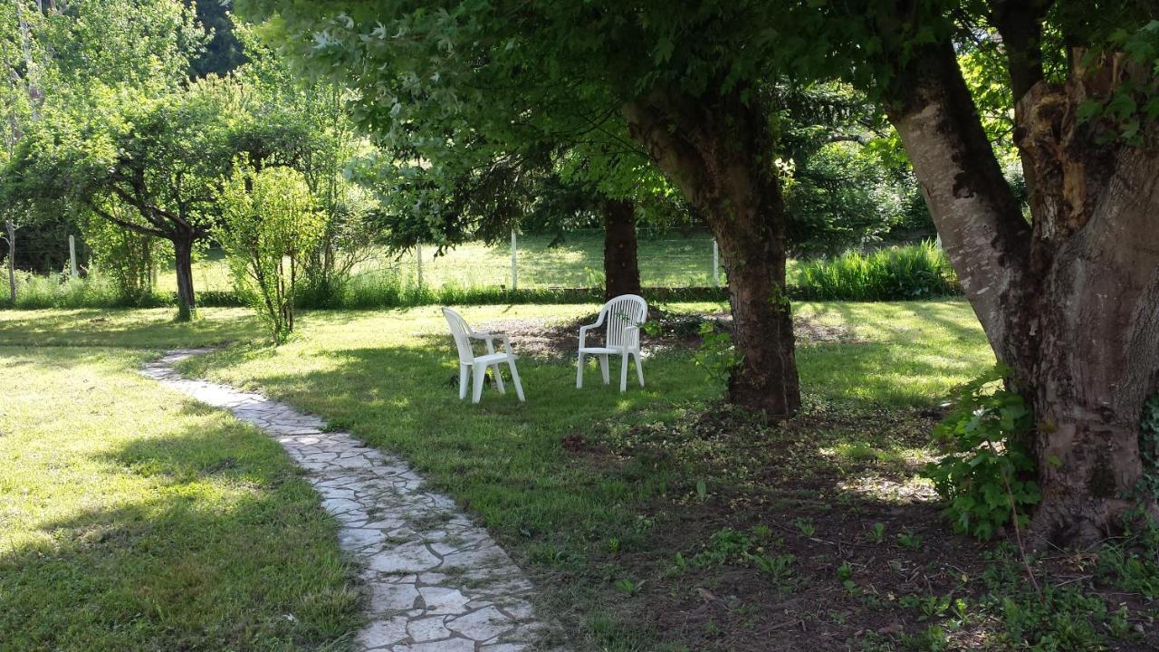 Le Curieux De Conques Acomodação com café da manhã Saint-Cyprien-sur-Dourdou Exterior foto