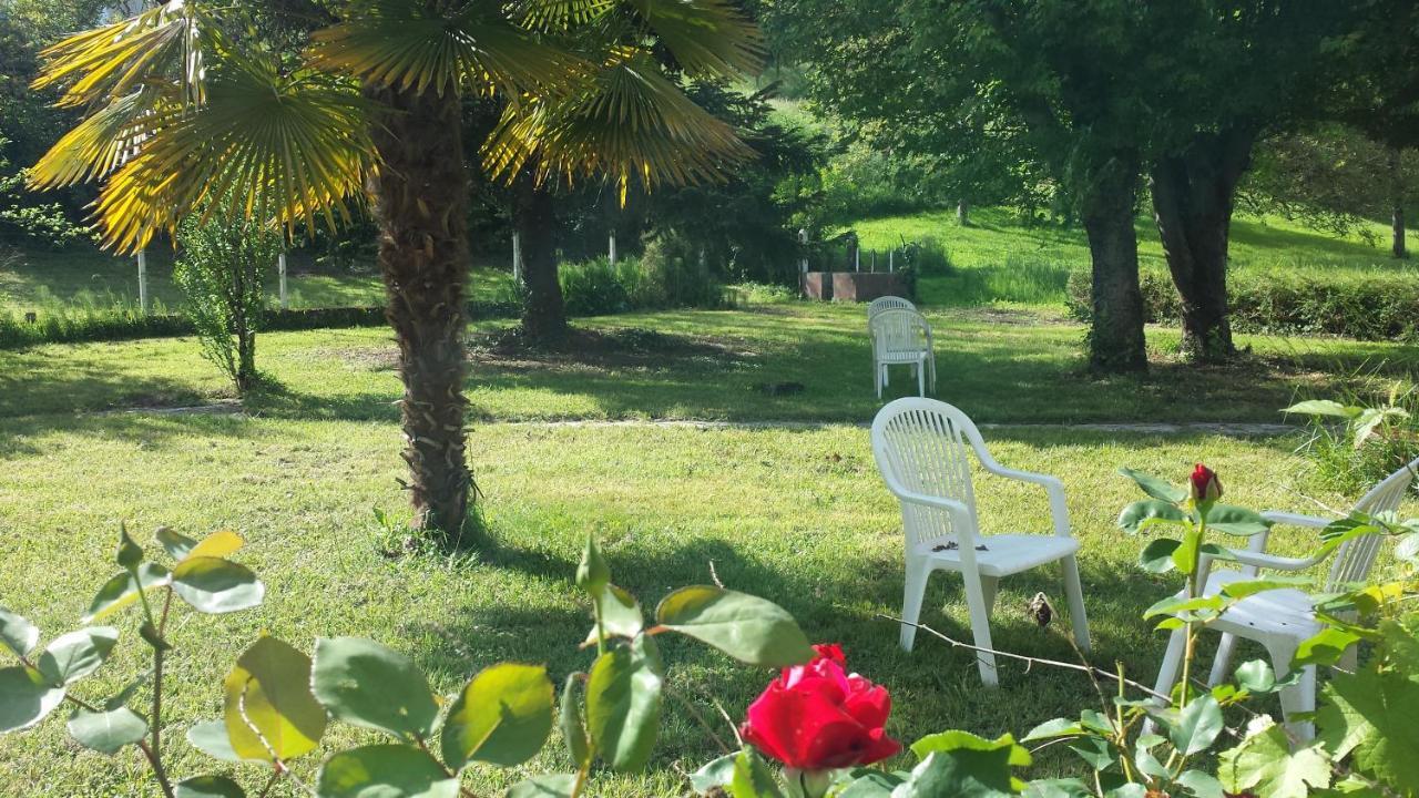 Le Curieux De Conques Acomodação com café da manhã Saint-Cyprien-sur-Dourdou Exterior foto